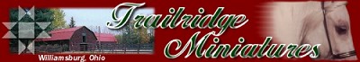 Trailridge Miniatures